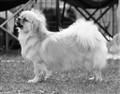 bondmoransdonna2-21-5-11.jpg